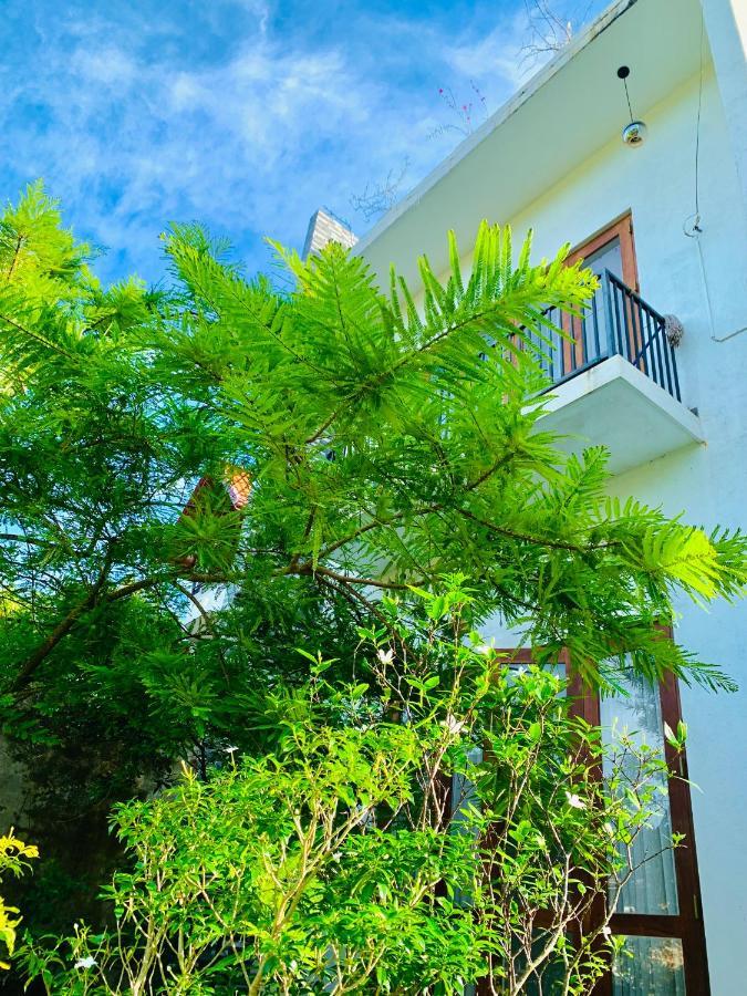 Jungle City Hostel 高尔 外观 照片
