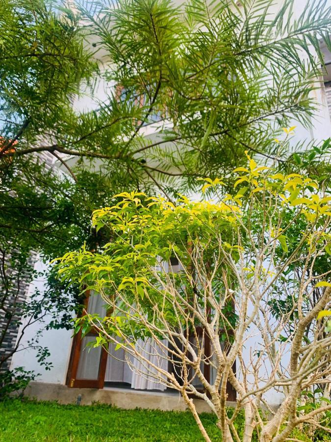 Jungle City Hostel 高尔 外观 照片