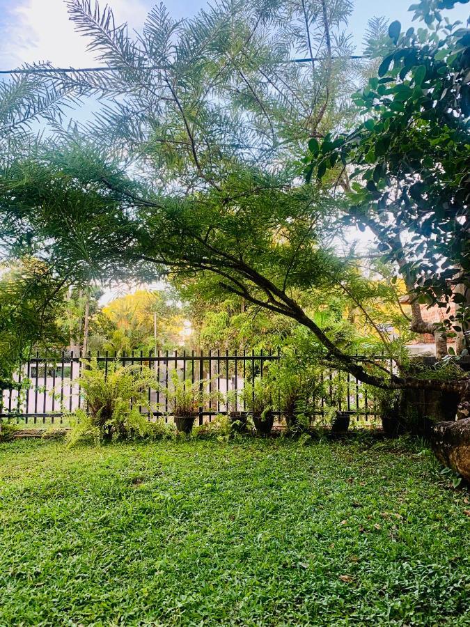 Jungle City Hostel 高尔 外观 照片