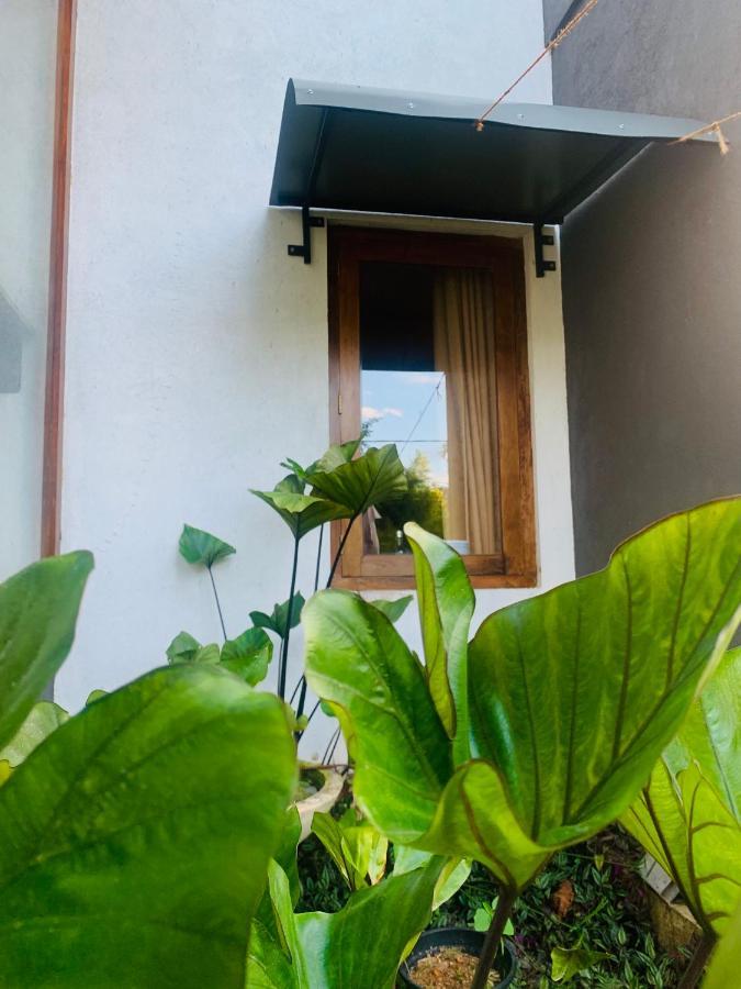 Jungle City Hostel 高尔 外观 照片