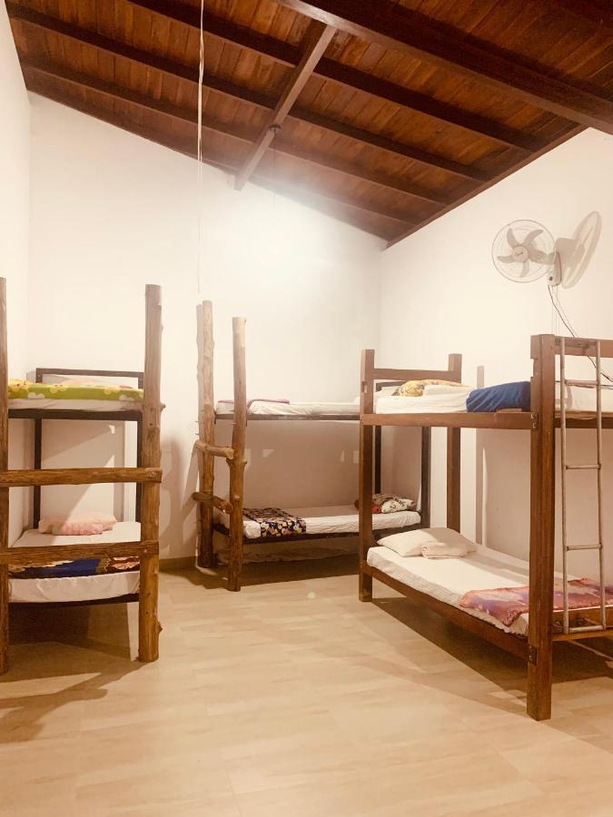 Jungle City Hostel 高尔 外观 照片